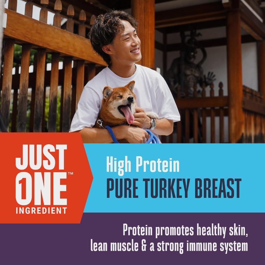Whole Life Dog Just One Turkey - Food Protein Snacks recension och pris