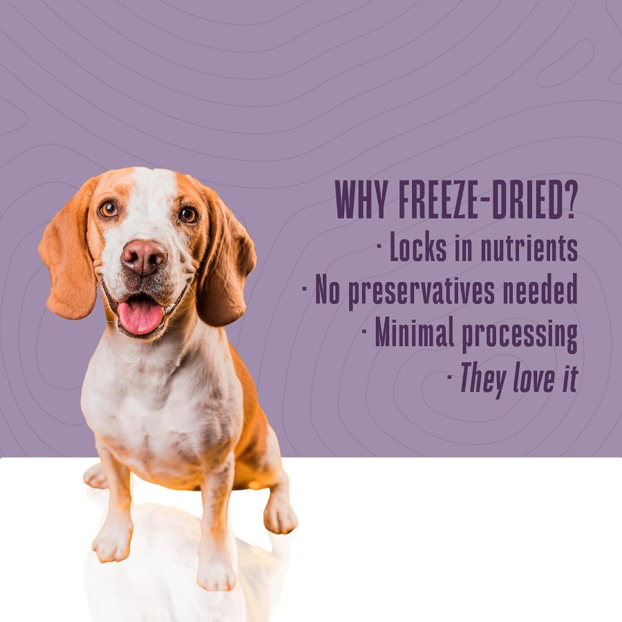 Whole Life Dog Just One Turkey - Food Protein Snacks recension och pris