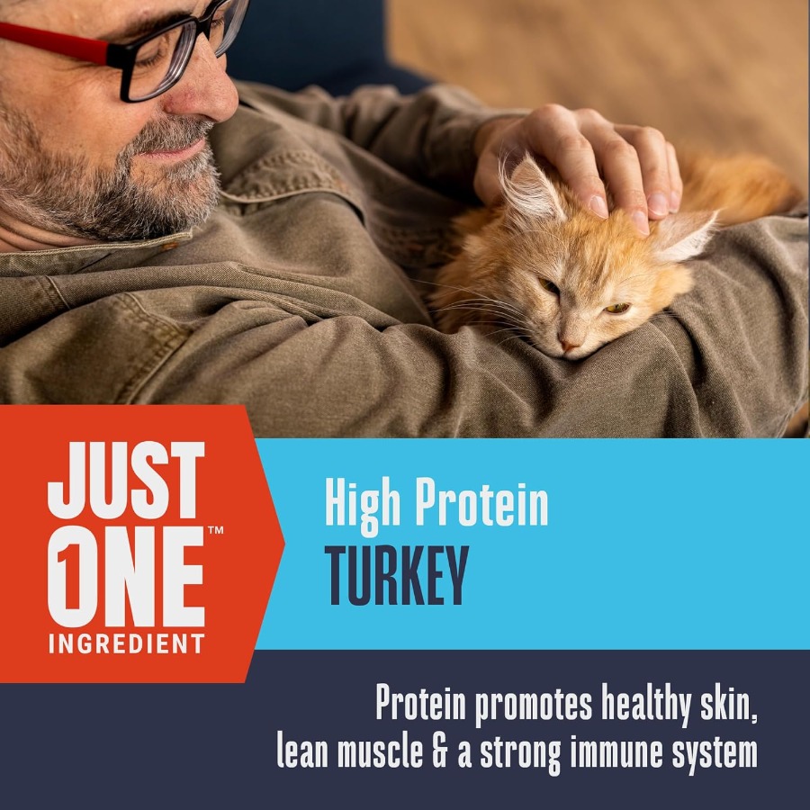 Whole Life Cat Just One Turkey - Food Protein Snacks recension och pris