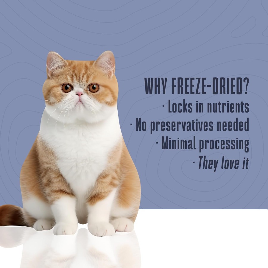 Whole Life Cat Just One Turkey - Food Protein Snacks recension och pris