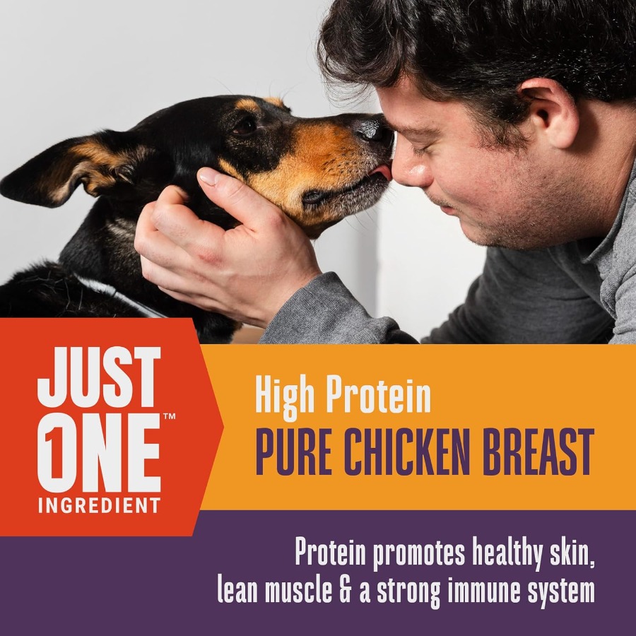 Whole Life Dog Just One Chicke - Food Protein Snacks recension och pris